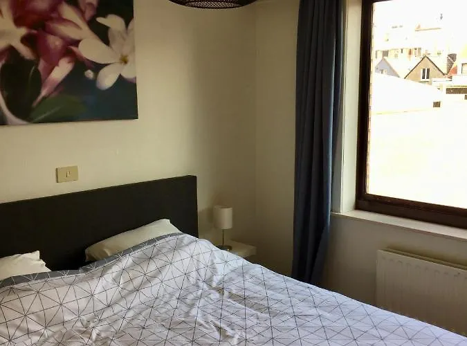 Rustig Met Zeezicht Dicht Bij Het Centrum Ostende